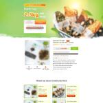 Theme WordPress lading pape bánh giảm cân