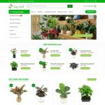 Theme WordPress chậu cây mini