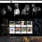 Theme WordPress bán chó săn