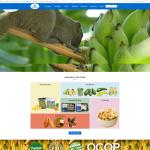 Theme WordPress nông sản – nông trại chuối