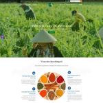 Theme WordPress công ty dược liệu dược phẩm
