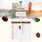 Theme WordPress landing page thực phẩm chức năng giảm cân
