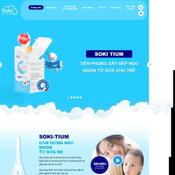 Theme WordPress giới thiệu sửa em bé