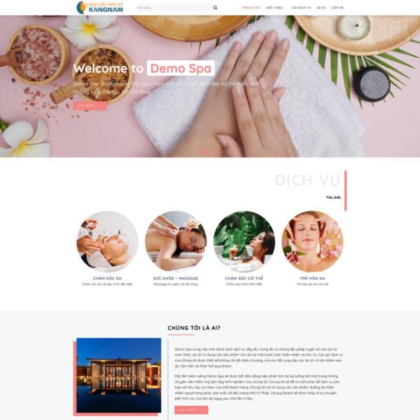 Theme WordPress spa 15