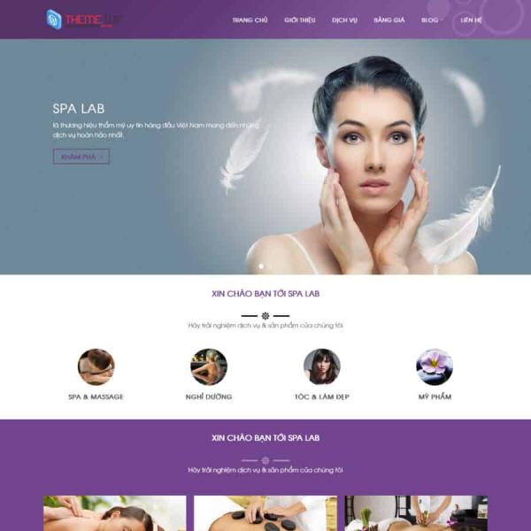 Theme WordPress spa 6