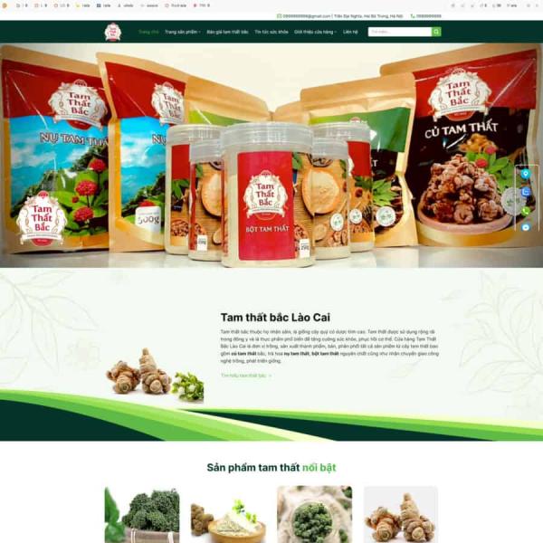 Theme WordPress bán tâm thất bắc