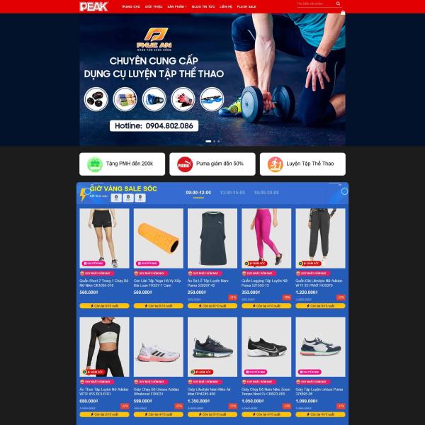 Theme WordPress shop bán giày giá rẻ