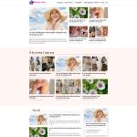 Theme WordPress tin tức 11