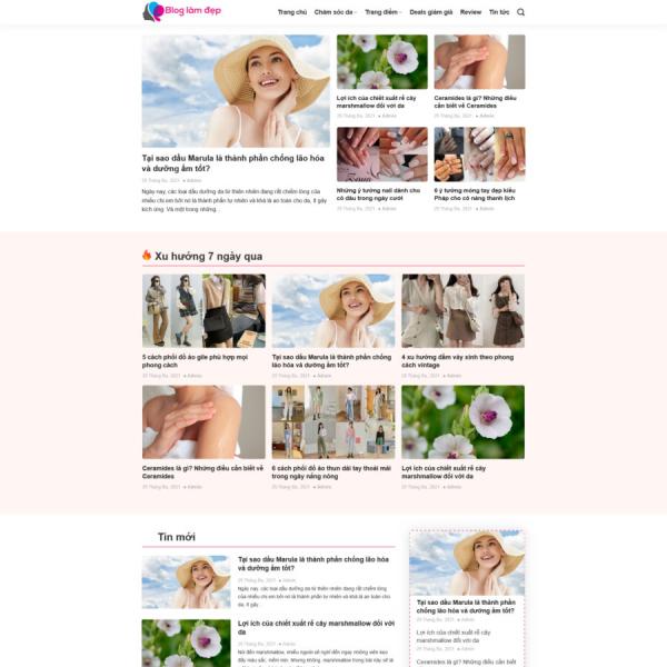 Theme WordPress tin tức 11