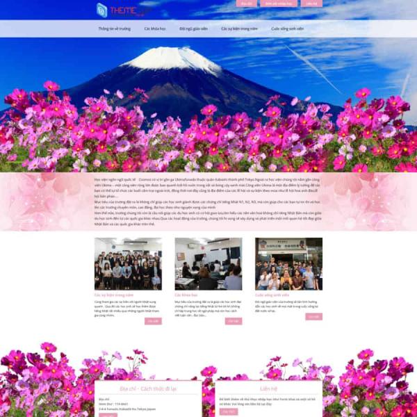 Theme WordPress XKLD 6